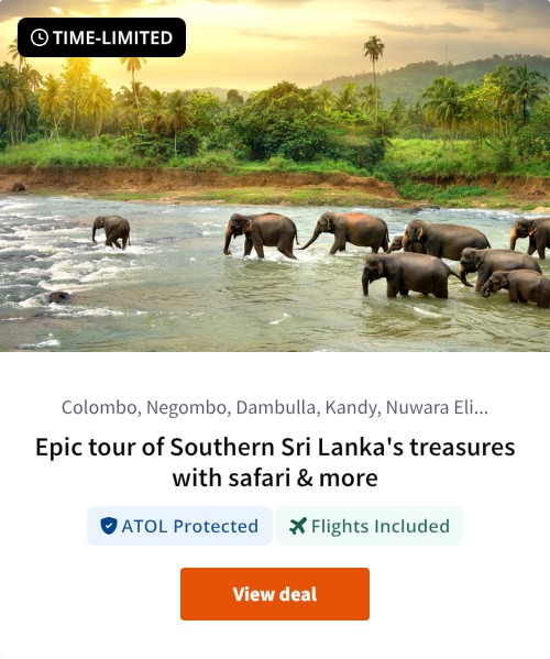 Epic tour of Southern Sri Lanka's treasures with safari &amp; more