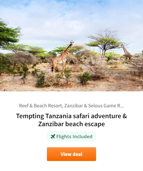 Tempting Tanzania safari adventure &amp; Zanzibar beach escape