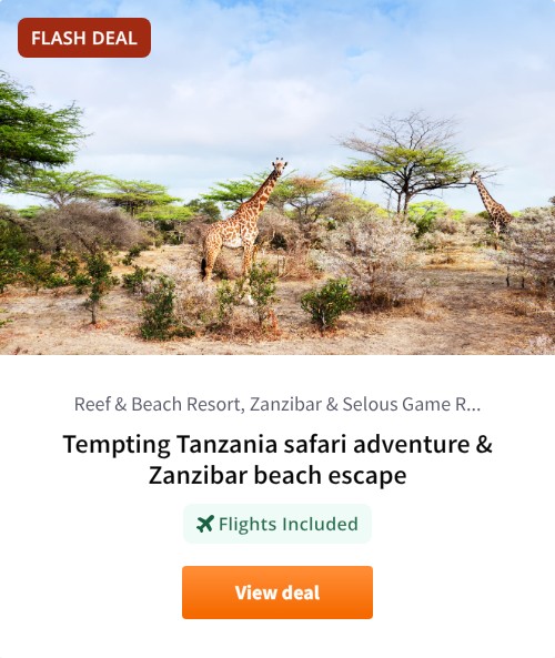 Tempting Tanzania safari adventure &amp; Zanzibar beach escape