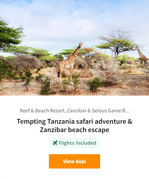 Tempting Tanzania safari adventure &amp; Zanzibar beach escape