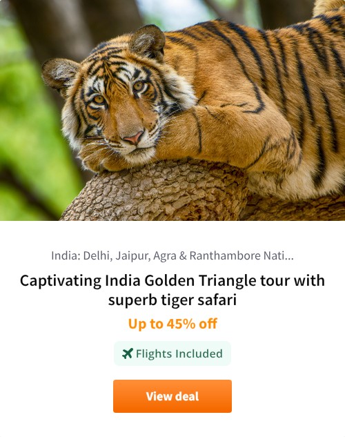 Captivating India Golden Triangle tour with superb tiger safari
