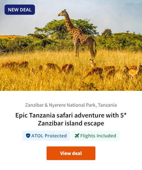 Epic Tanzania safari adventure with 5* Zanzibar island escape